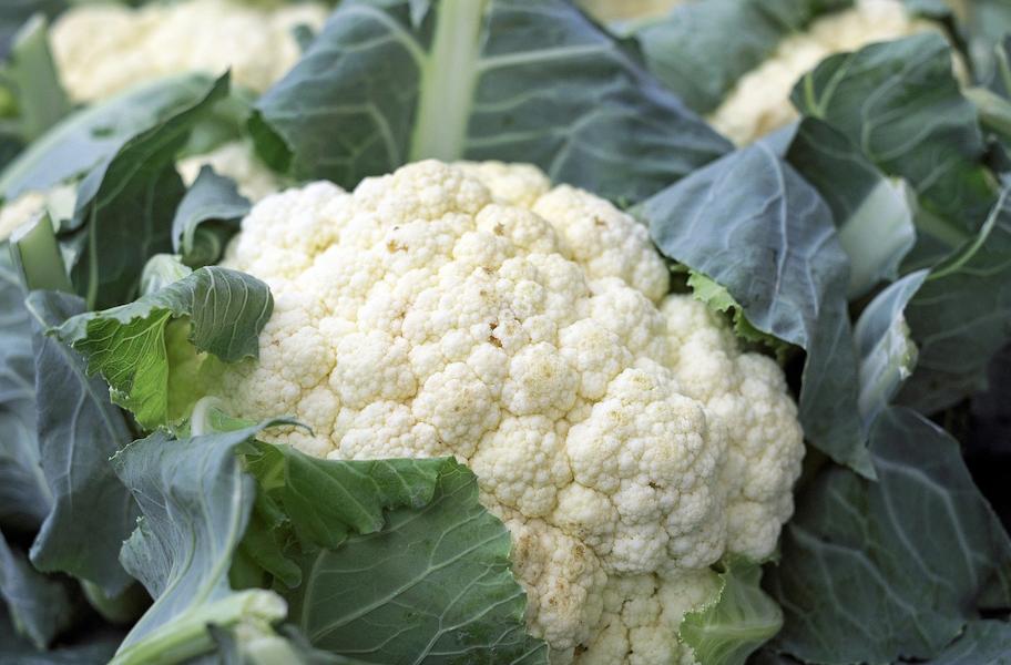 cauliflower_vegetables
