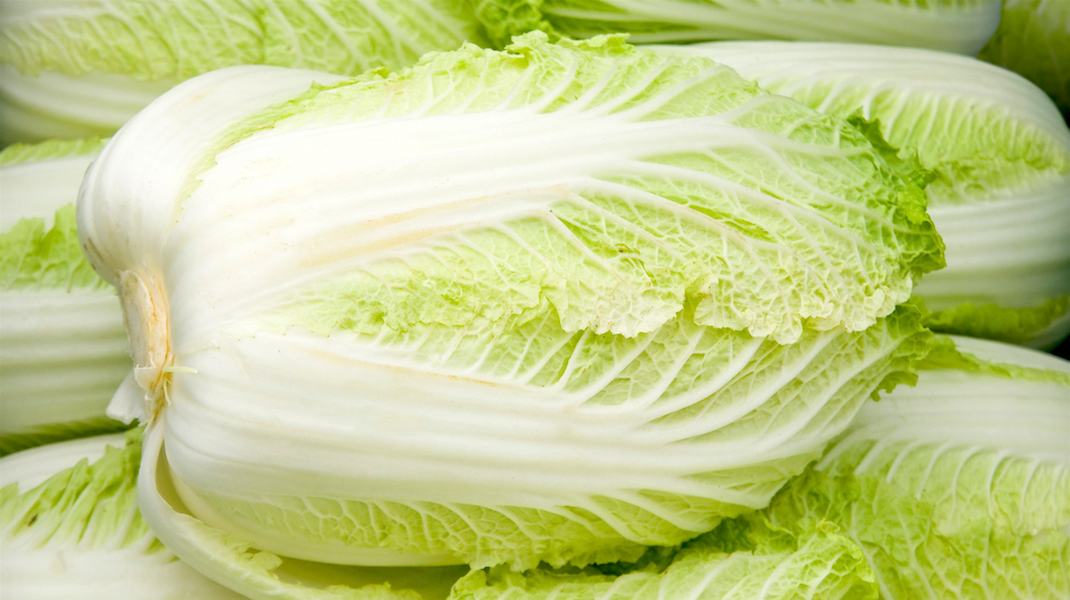 Napa cabbage. Photo by Sheknows