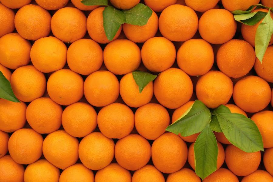 بهترین قیمت پرتقال درجه یک و مرغوب در بازار