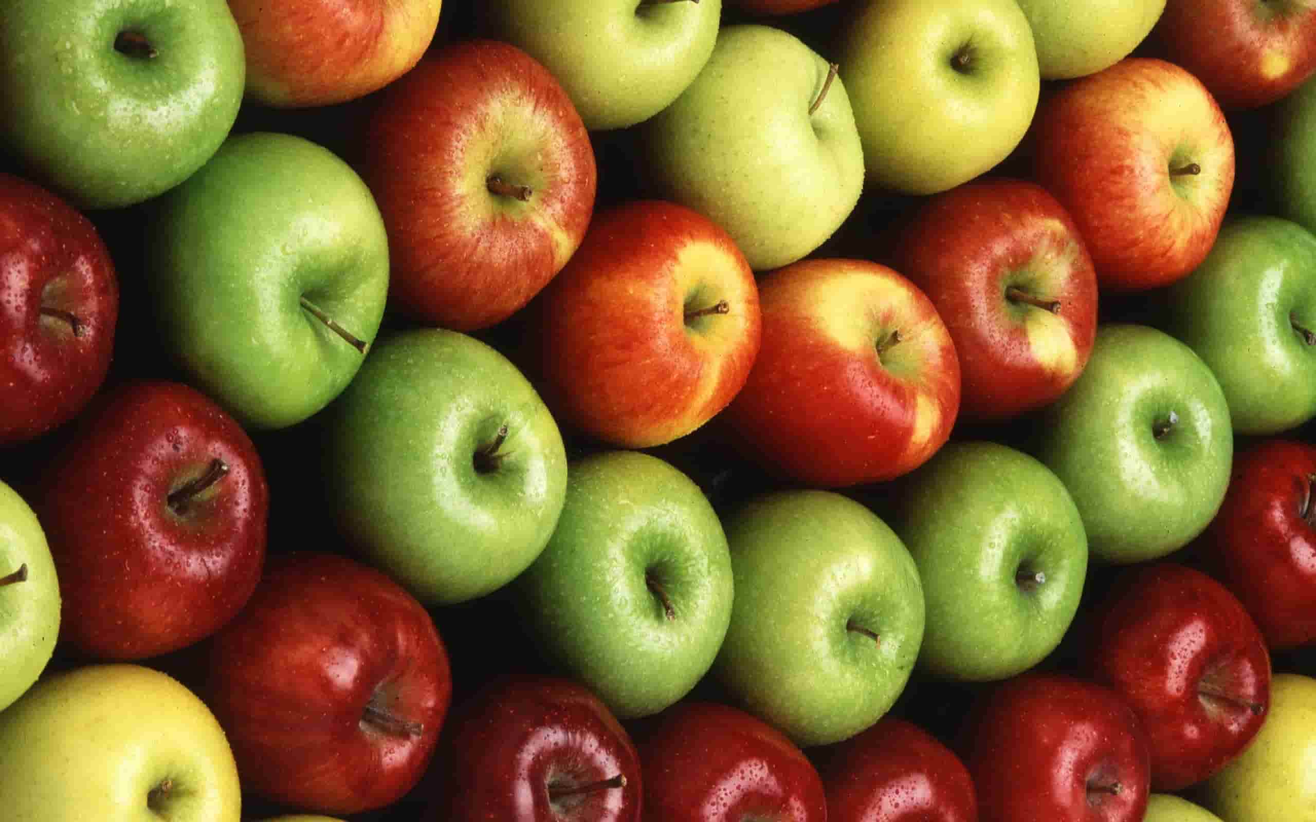 964970-apple-composition-apples-fruits