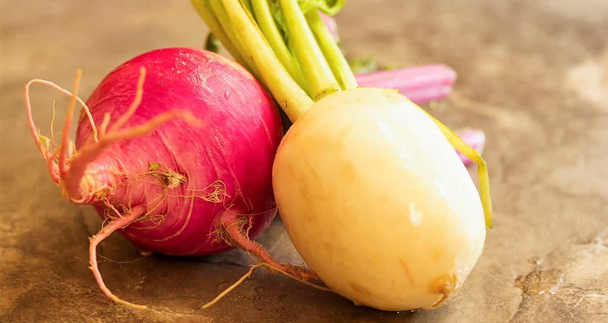 turnip-gratin-for-facebook (1)