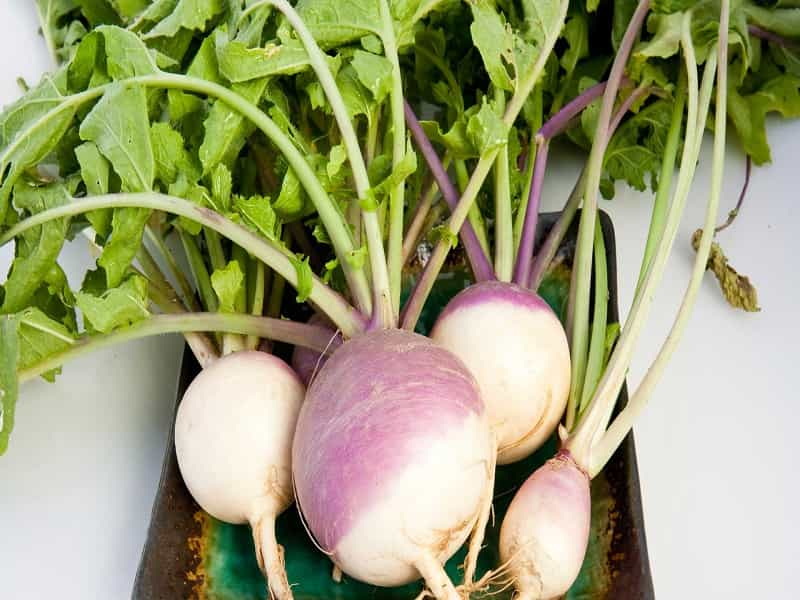 turnips-nutrition