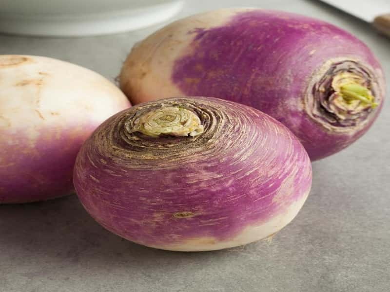 Is-It-Safe-To-Eat-Turnip-During-Pregnancy1-910x1024