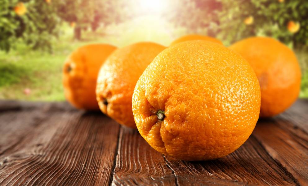Jalna_Orange