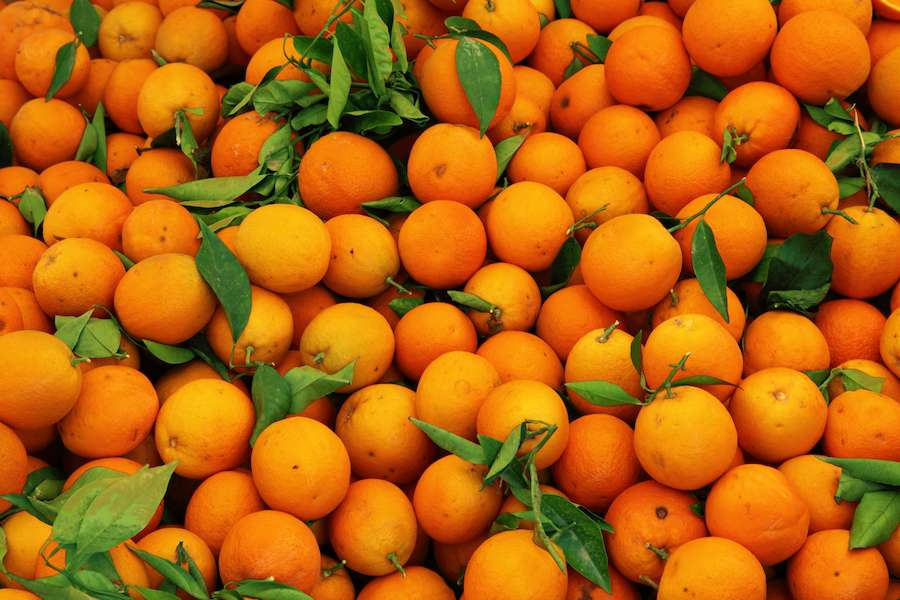 plant-fruit-ripe-orange-pile-food-produce-color-fresh-juicy-healthy-vitamin-background-tangerine-raw-kumquat-clementine-backdrop-many-refreshing-citrus-flowering-plant-plenty-bitter-orange-ma