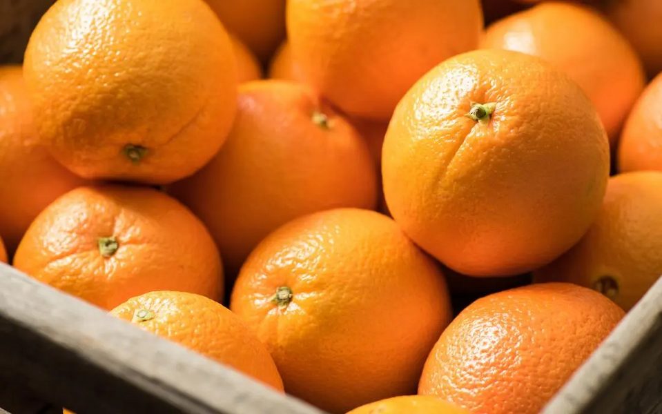 فروش پرتقال مرغوب و با کیفیت به قیمت عمده در بازار داخلی