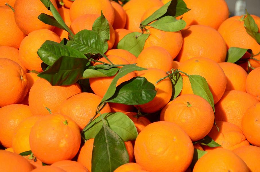 فروش بی نظیر پرتقال تامسون شمال و جنوب به قیمت عمده