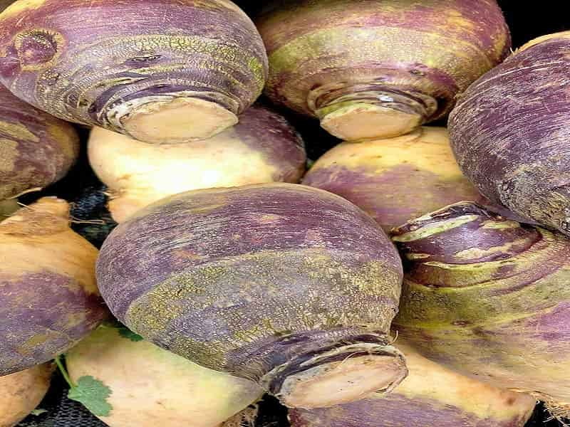 Grow-the-Best-Rutabaga-with-These-Tips