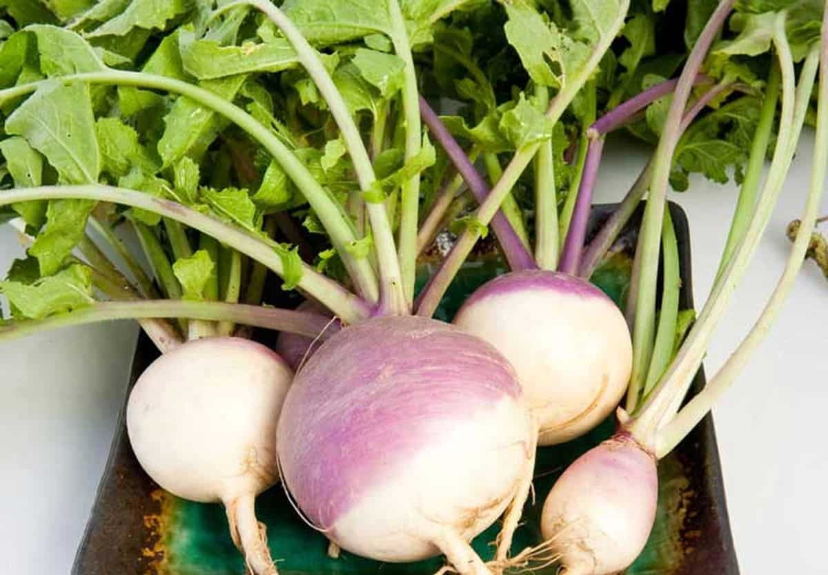 turnips-nutrition (1)