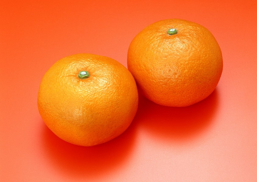 قیمت پرتقال والنسیا جنوب با کیفیتی تضمینی و عمده