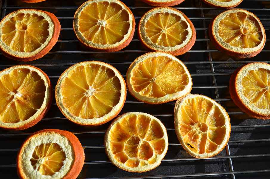 Dried-Oranges-Photo-Download