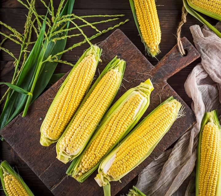 corn-cobs