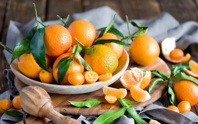قیمت خرید تضمینی انواع نارنگی با کیفیت در شمال
