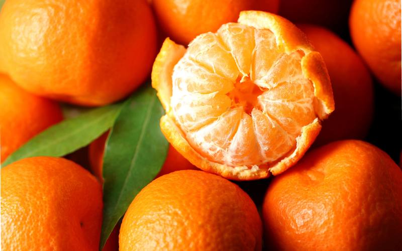 فروش عمده نارنگی صادراتی جنوب در بسته بندی متنوع به روسیه
