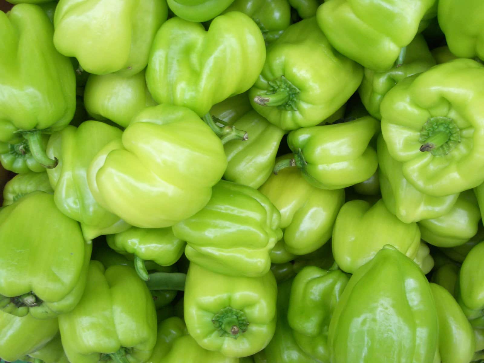 green-peppers-1549436