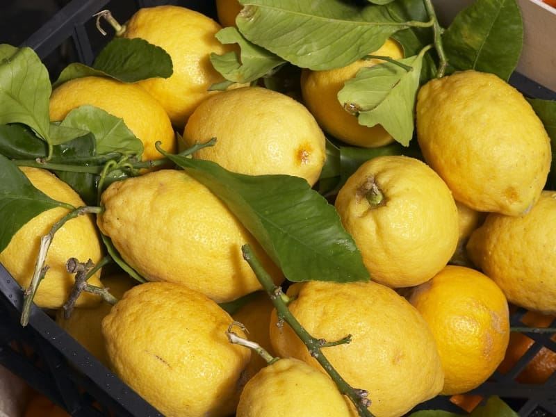 Fresh-Lemons-800x600