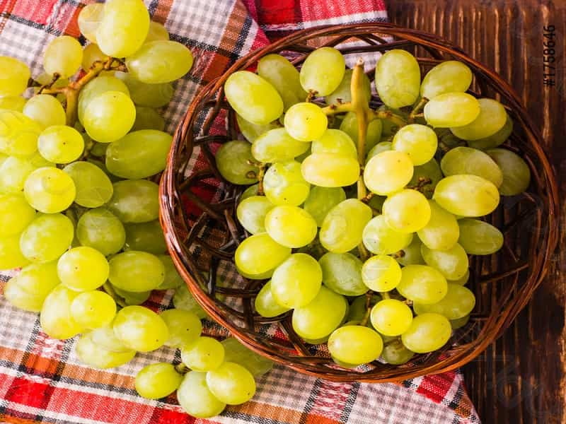 grapes-wine-glass-basket-on-1758646