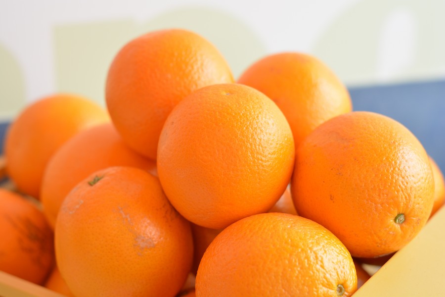 plant-fruit-orange-food-produce-pineapple-tangerine-kumquat-clementine-vegetarian-food-vitamins-oranges-citrus-flowering-plant-bitter-orange-mandarin-orange-land-plant-sweet-lemon-meyer-lemon