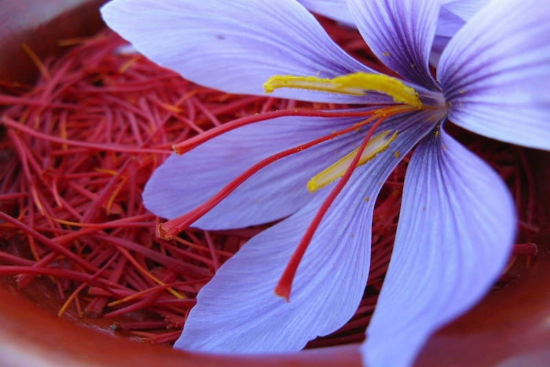 قیمت زعفران ایرانی با کیفیت بالا خشک شده 100% خالص
