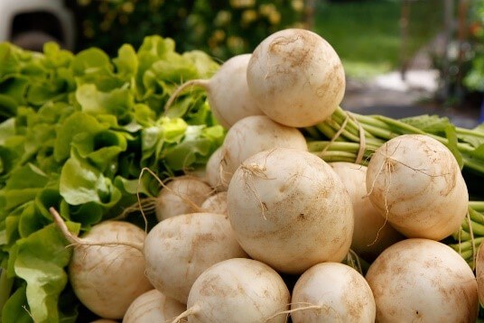 hakurei-turnips