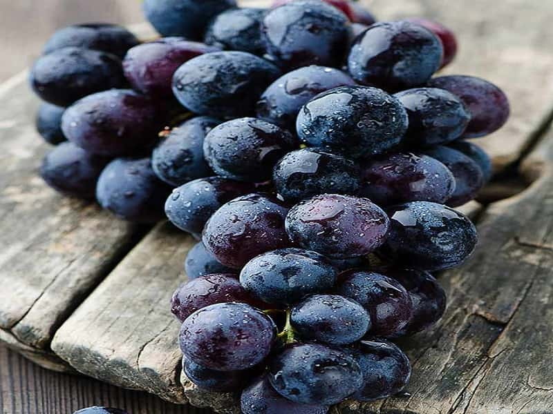 9-Powerful-Reasons-You-Must-Eat-Black-Grapes
