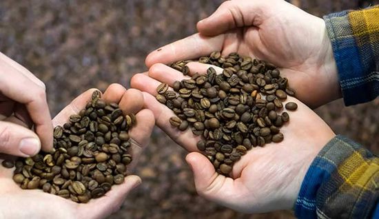 خرید قهوه عربیکا بسته 1 کیلویی 100 درصد خالص