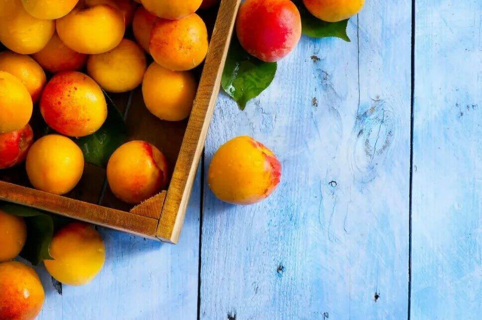 قیمت میوه زردآلو نرم و شاداب بدون گلوتن