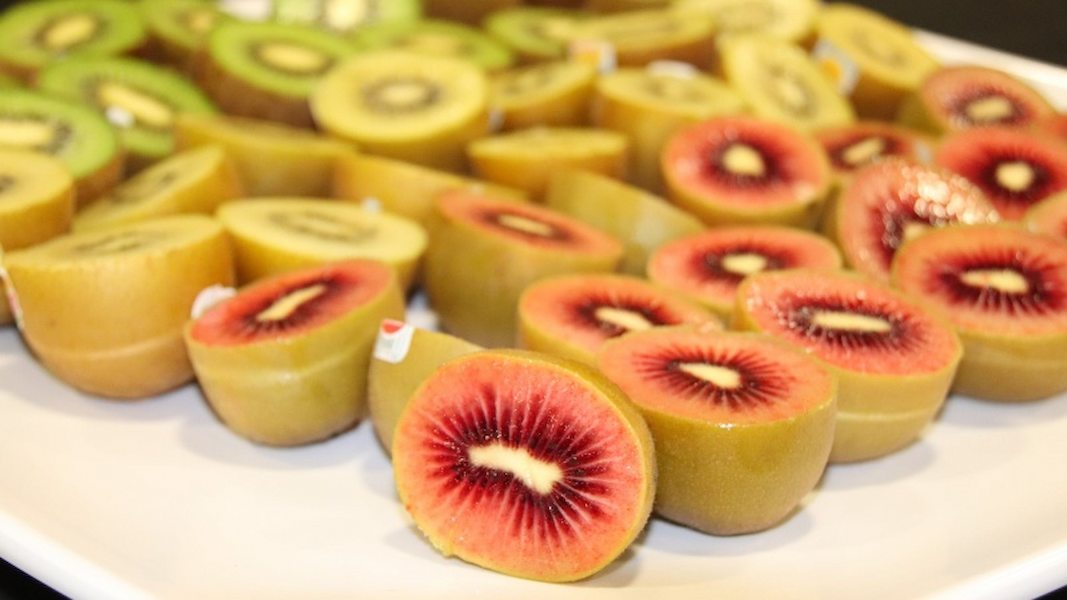 Seeing-red-Zespri-looks-to-red-coloured-kiwis-and-sustainable-innovations-to-draw-in-new-consumers