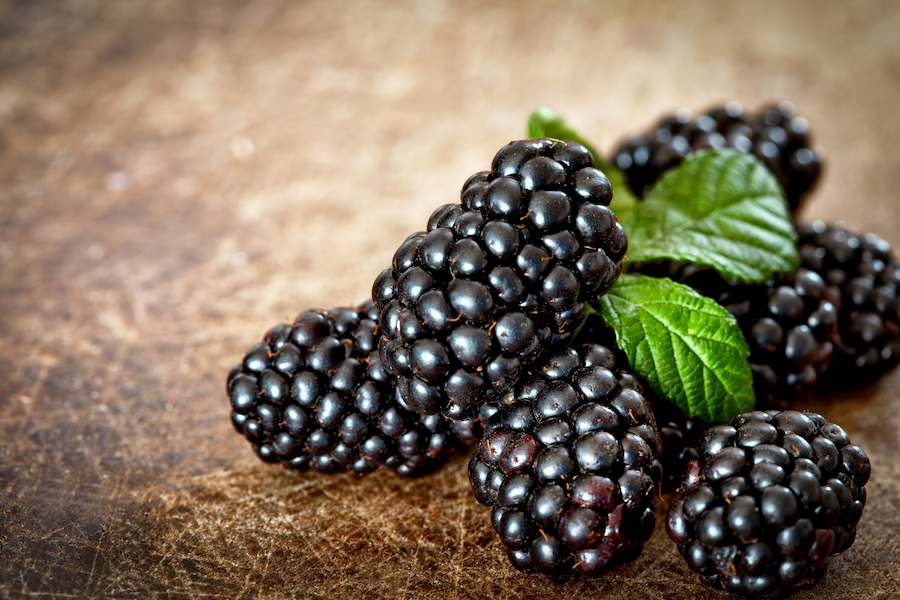 2017Food___Berries_and_fruits_and_nuts_Appetizing_berries_of_fresh_blackberries_117342_