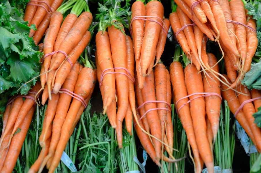 carrots-orange-veg-vegetable-wallpaper