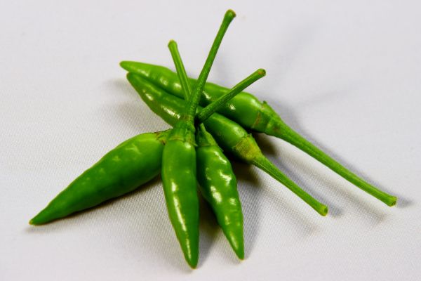 green_chili_lado_minang_chili_hot_vegetables_pepper-1363750