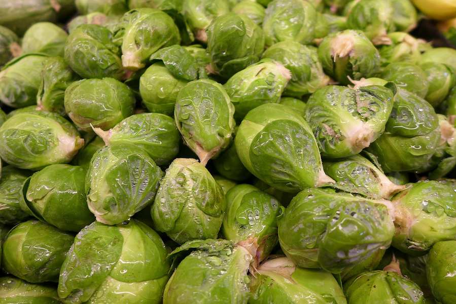 brussel-sprouts-92240_1280