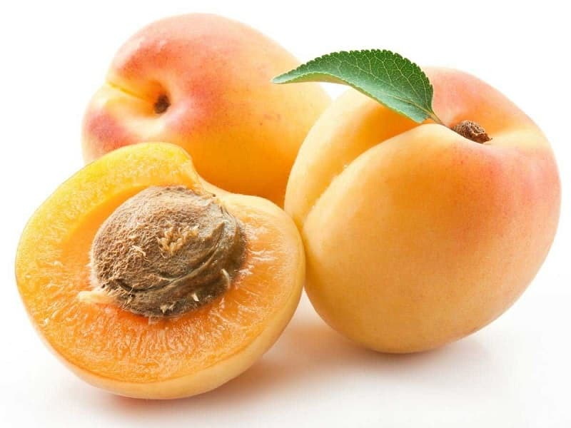 Apricot (1)