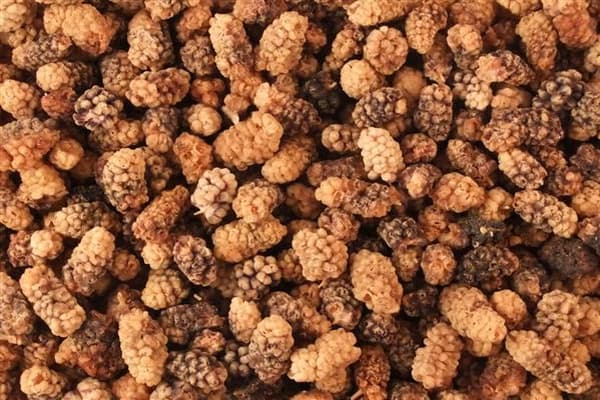 dried-mulberries (1)