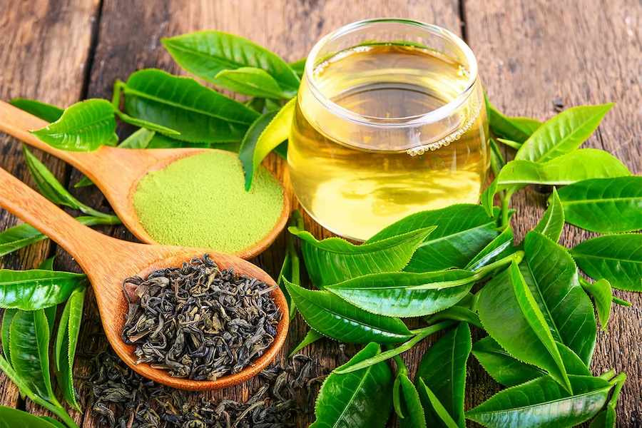 Green-tea-extract-improves-gut-health-glucose-levels