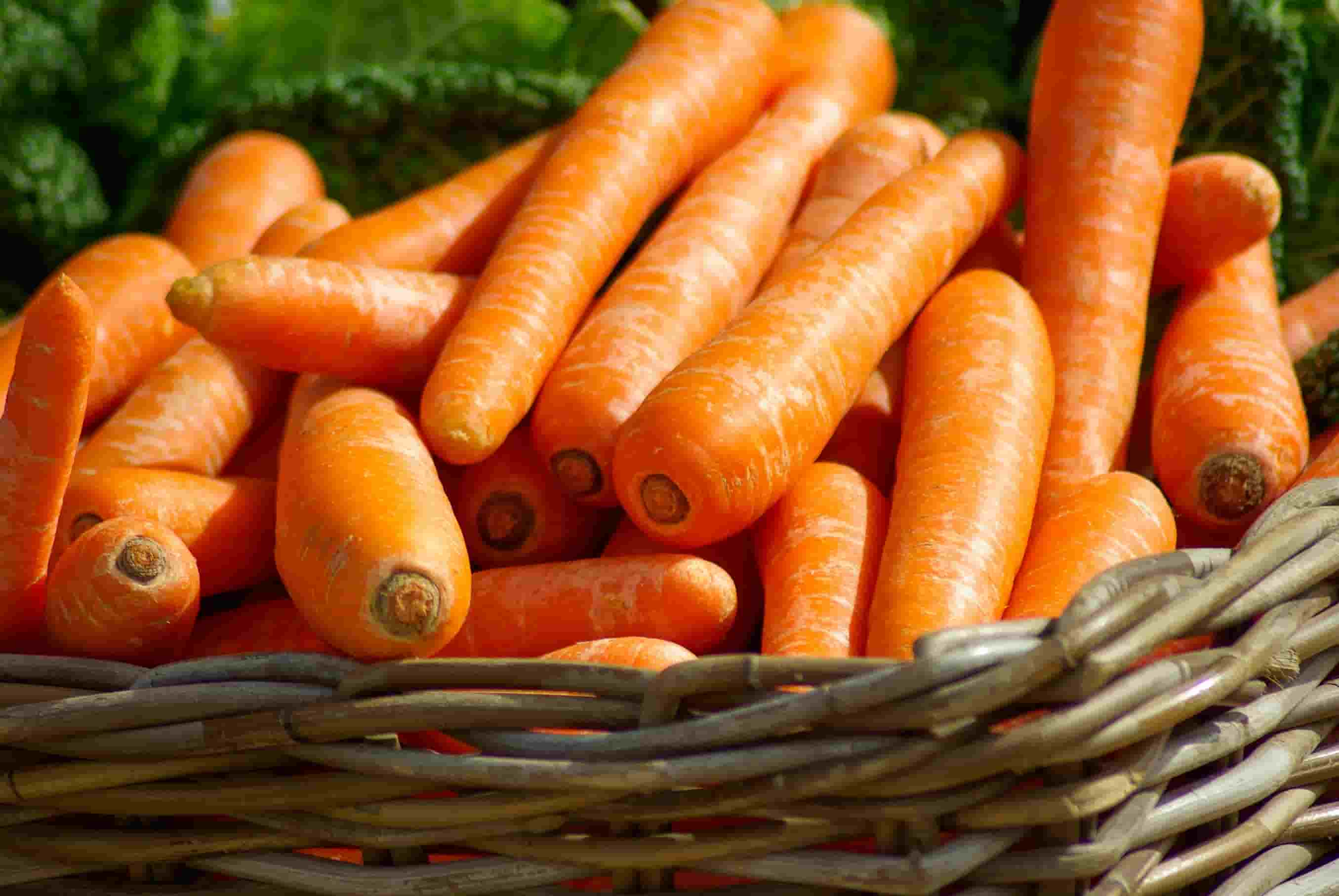 carrots-basket-vegetables-market-37641 (2)