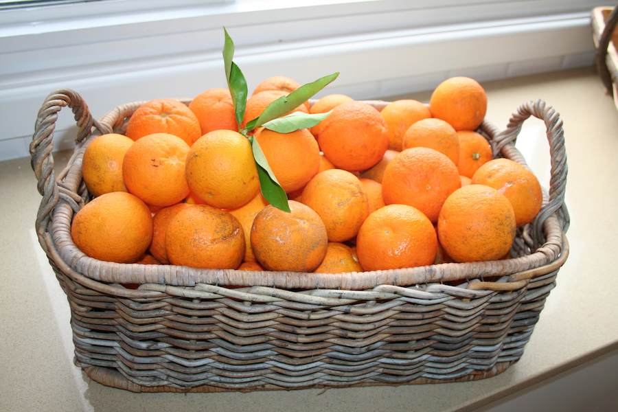 naranjas-aroma-departamento