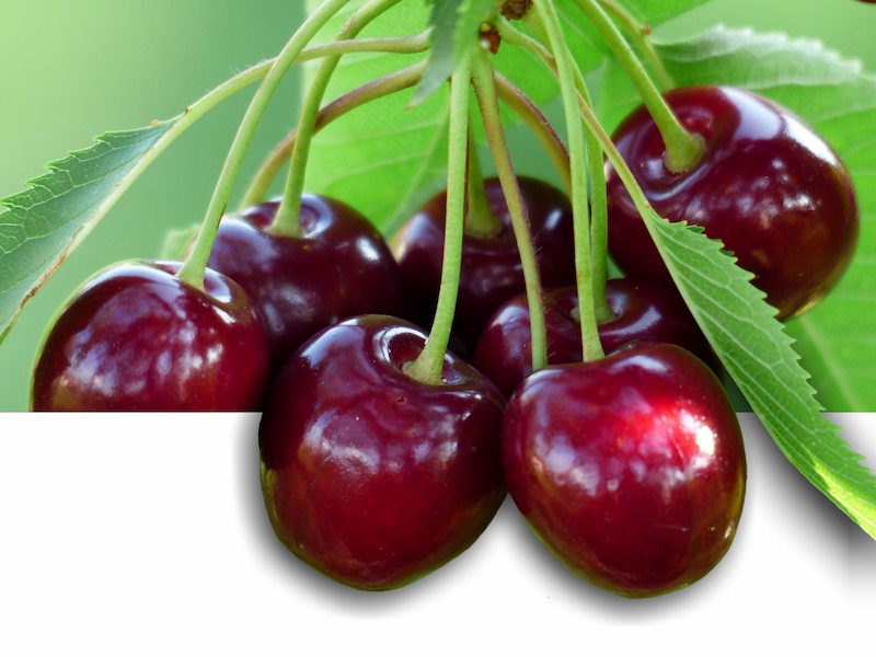 cherry-sweet-cherry-red-fruit-1524719