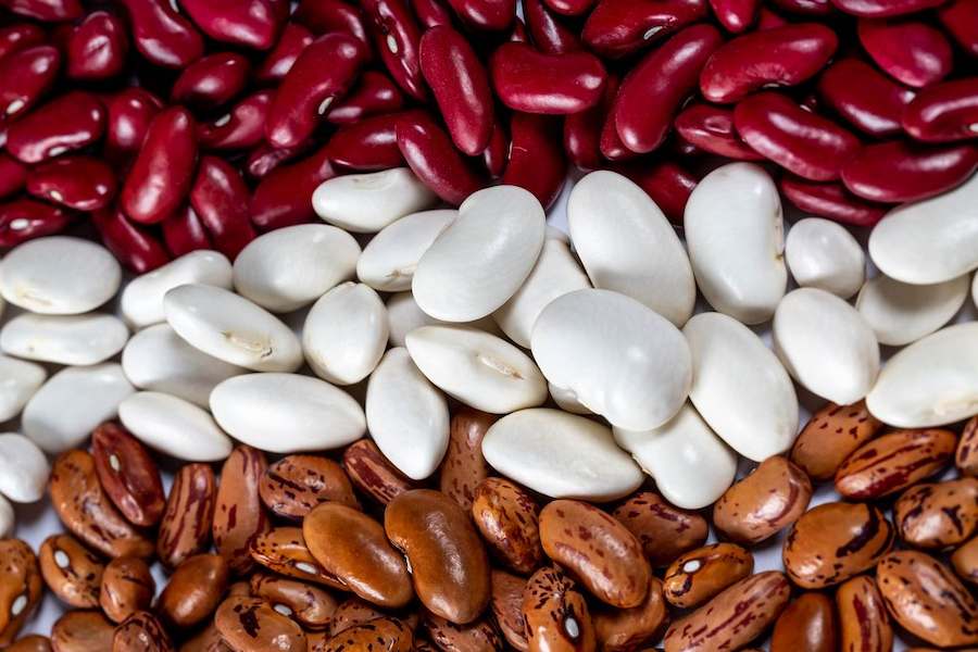 assortment-of-beans-of-different-varieties