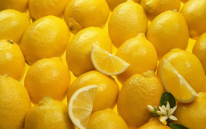 lemon-fruits-slices-wallpaper (1)