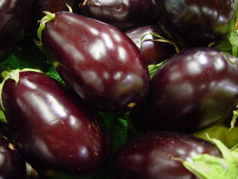 plant-fruit-ripe-food-produce-vegetable-fresh-raw-aubergine-eggplant-flowering-plant-solanum-melongena-brinjal-land-plant-melongene-garden-egg-guinea-squash-897458