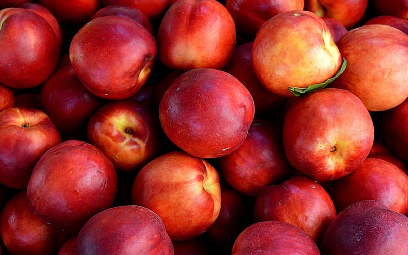 fruit-nectarines-peaches