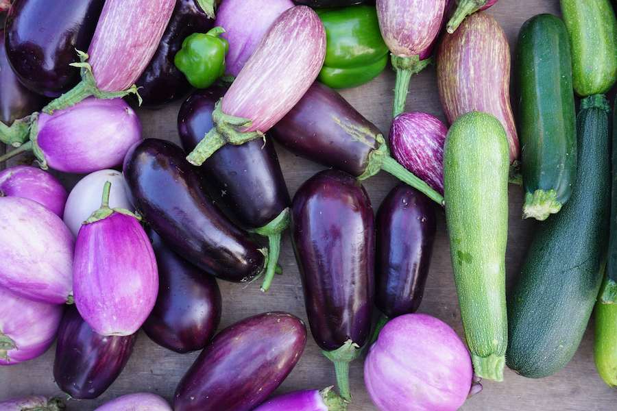 834285-Vegetables-Closeup-Eggplant