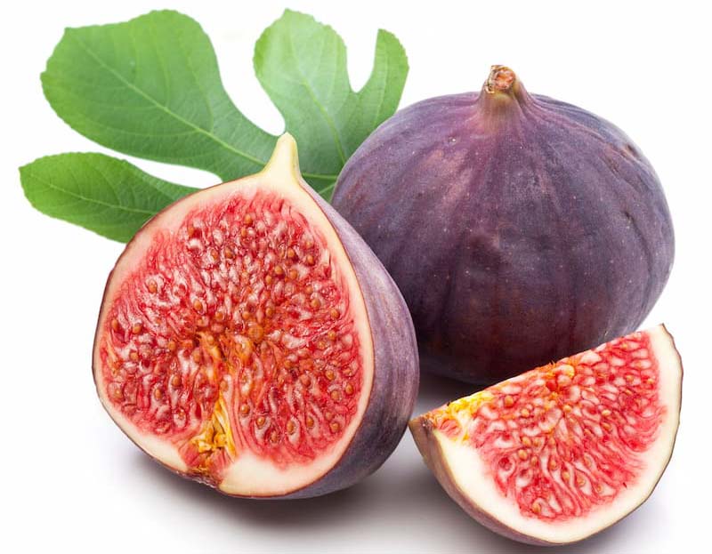 Growing-Figs-How-to-Grow-Figs-Allotment-Gardens (1)