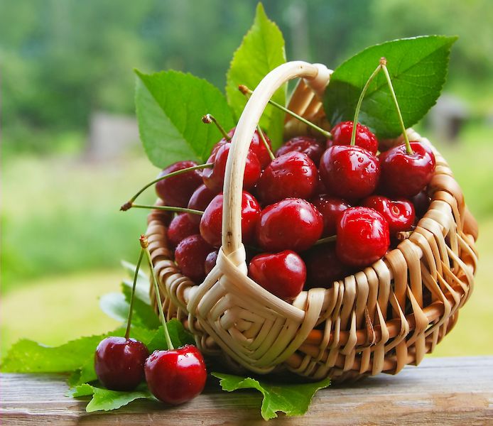 cherry-berries-sweet-fresh-693