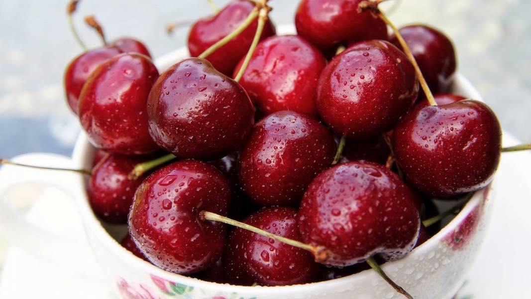 cherry-plate-berries-ripe-wallpaper