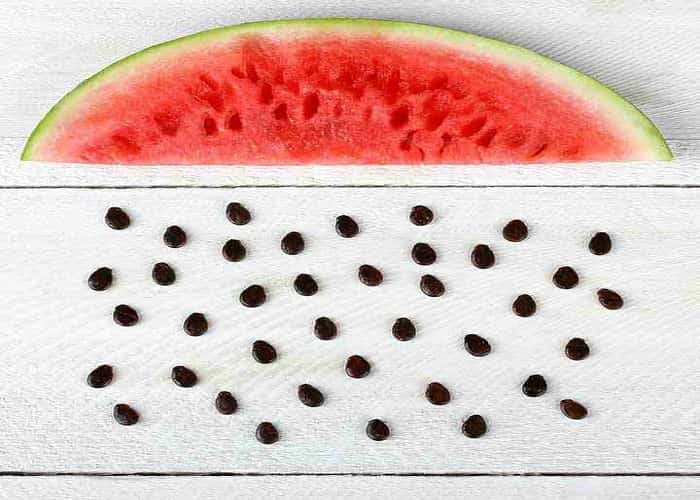 367_9-Best-Benefits-Of-Watermelon-Seeds-For-Skin-Hair-And-Health_313927397.jpg_1