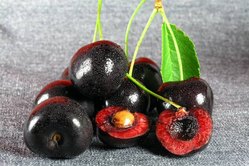 black-cherry-poisoning (1)