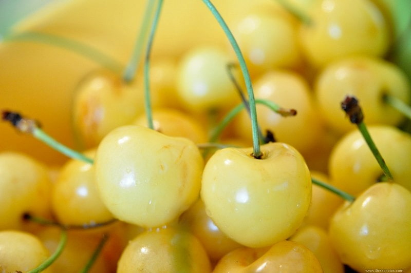 Yellow-cherries1915 (1)