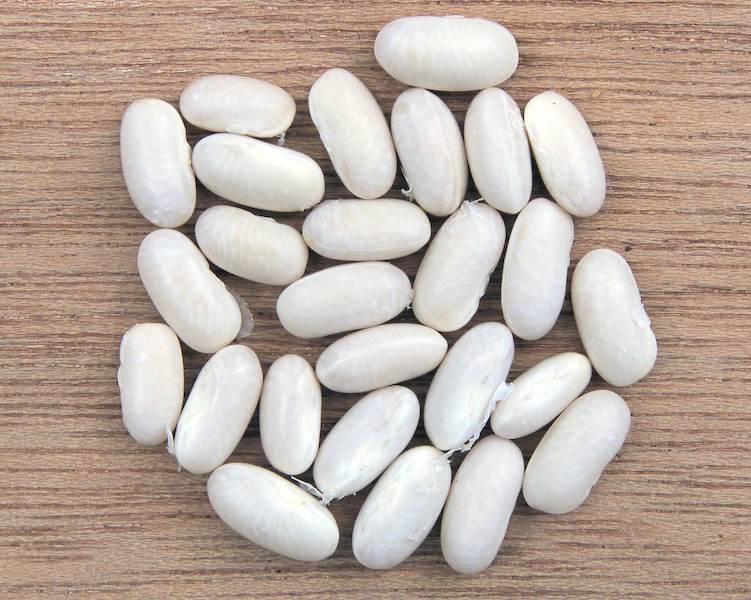Phaseolus_vulgaris_white_beans,_witte_boon